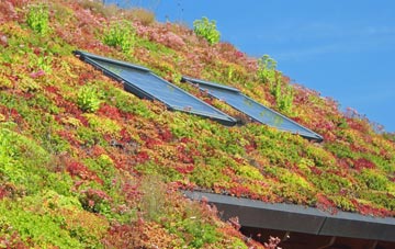 Llanwnda living roof systems