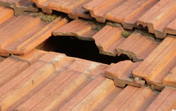 roof repair Llanwnda